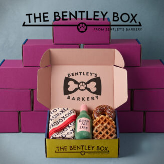 A picture showing an open Bentley's Box with plushies and treats in the box, and a stack of closed boxes behind it.