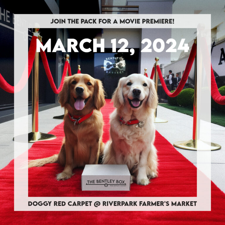 Roll Out the Red Carpet: Bentley’s Barkery To Host Doggy Red Carpet Event at River Park!