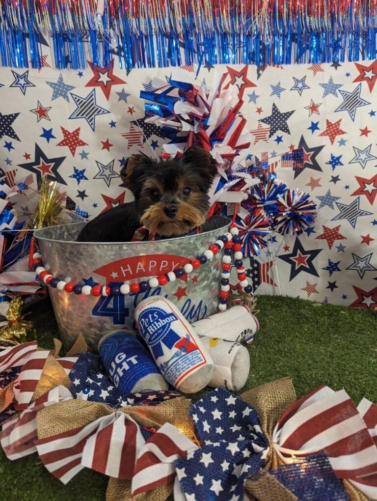 Yappy 4th Of July